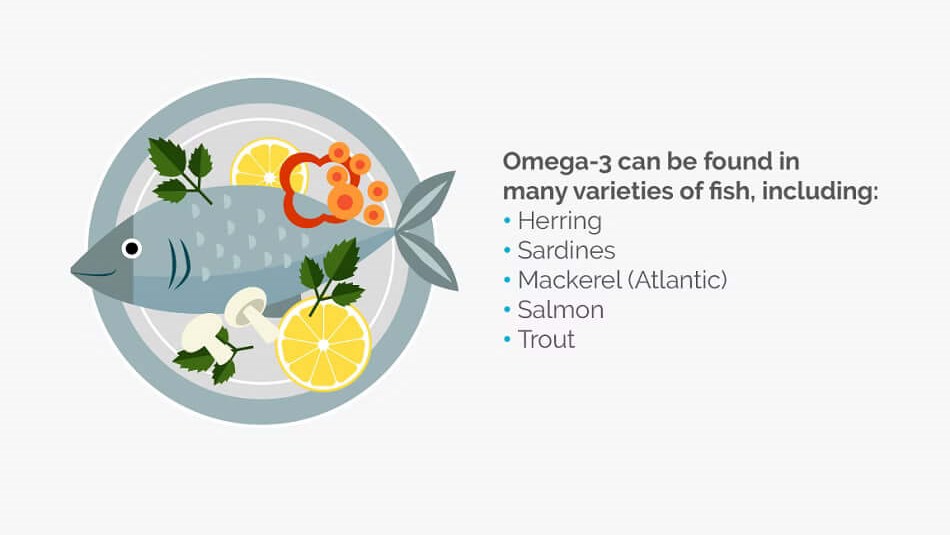 types of fat infographic